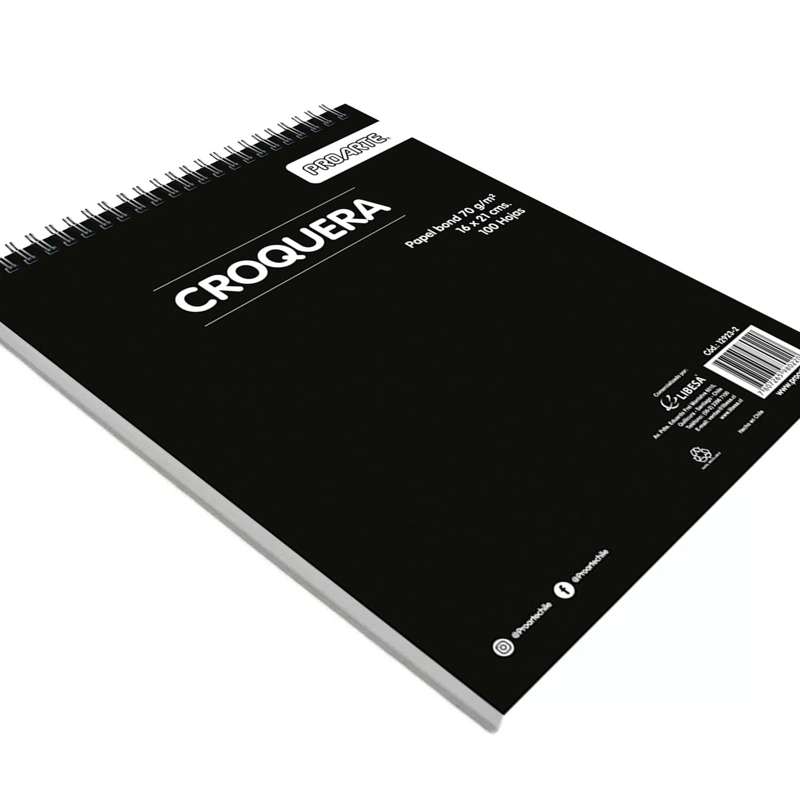 CROQUERA PROARTE 16X21CM 100HJS - 2