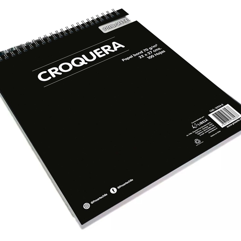 CROQUERA PROARTE 22X27CM 100HJS - 2