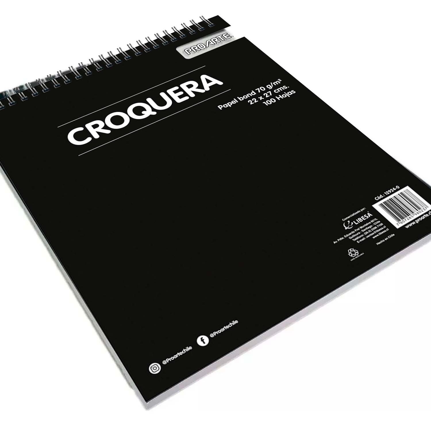 CROQUERA PROARTE 22X27CM 100HJS - 2