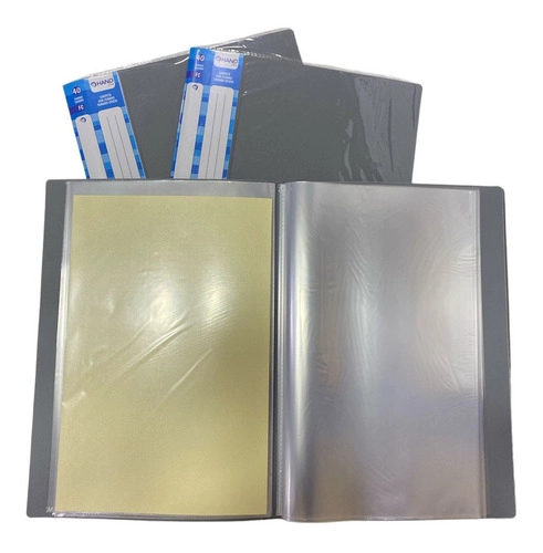 CARPETA CON 40 FUNDAS TRANSPARENTES (OFICIO) - 2