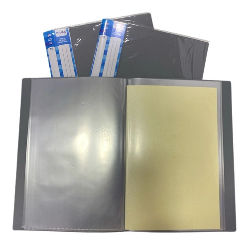 CARPETA CON 40 FUNDAS TRANSPARENTES (OFICIO) - 3