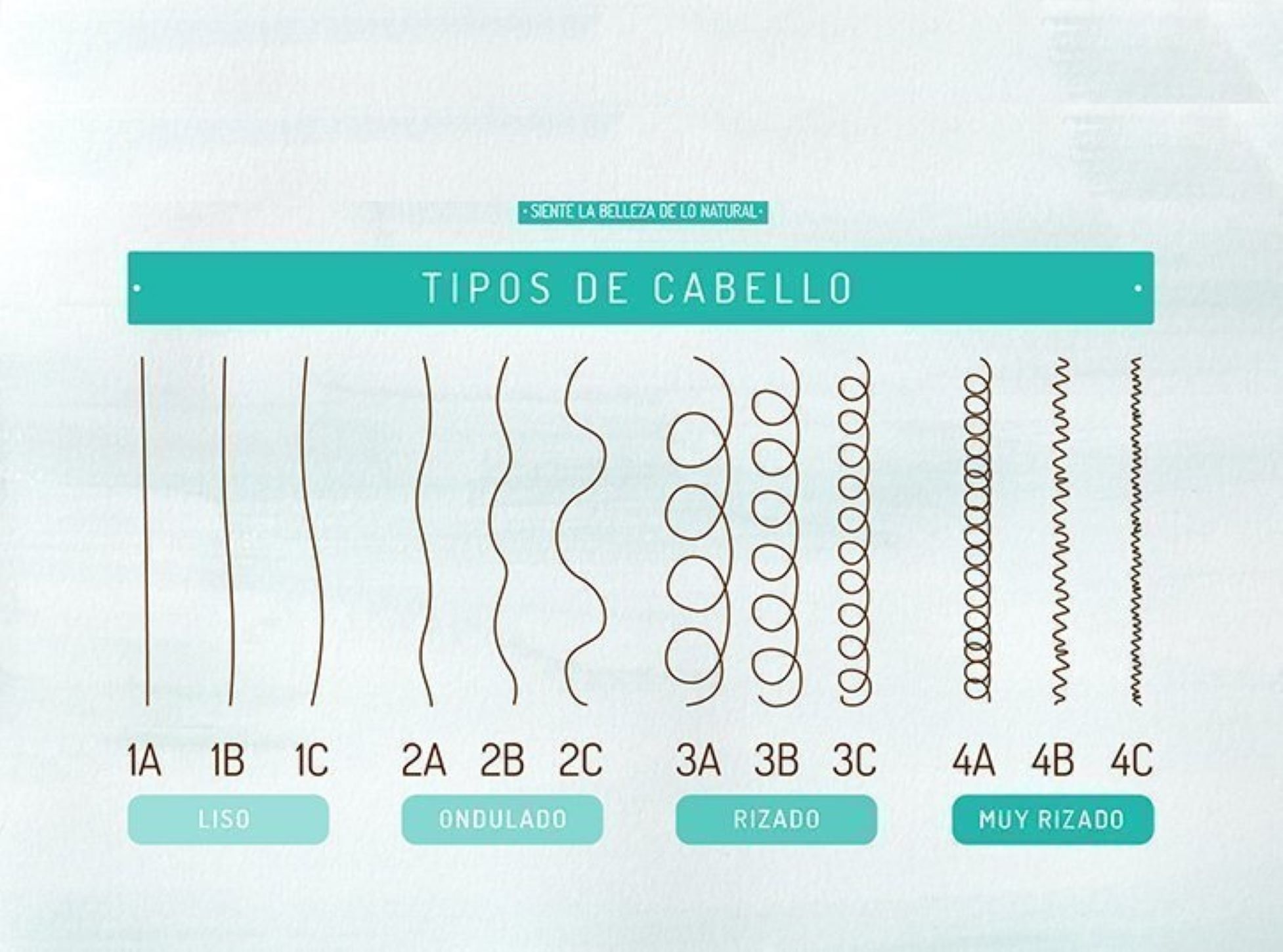 TRATAMIENTO CAPILAR AFRO AND CURLY ETNIKER CARIBE 4 EN 1 DE 1000GR - 5