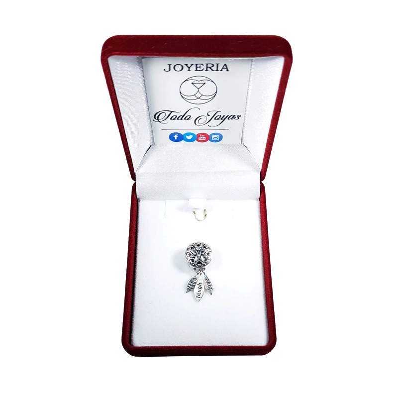 CHARM DIJE PLATA 925 ATRAPA SUEÑOS LIVE - 2