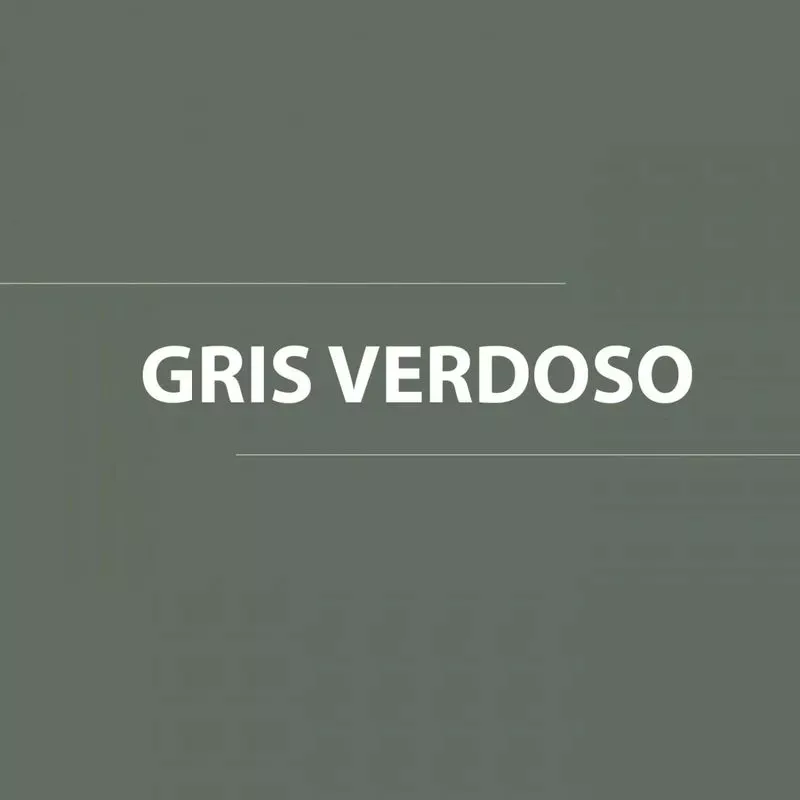 PINTURA ANTICORROSIVO SOQUINA GRIS VERDOSO TN 5GL - 2
