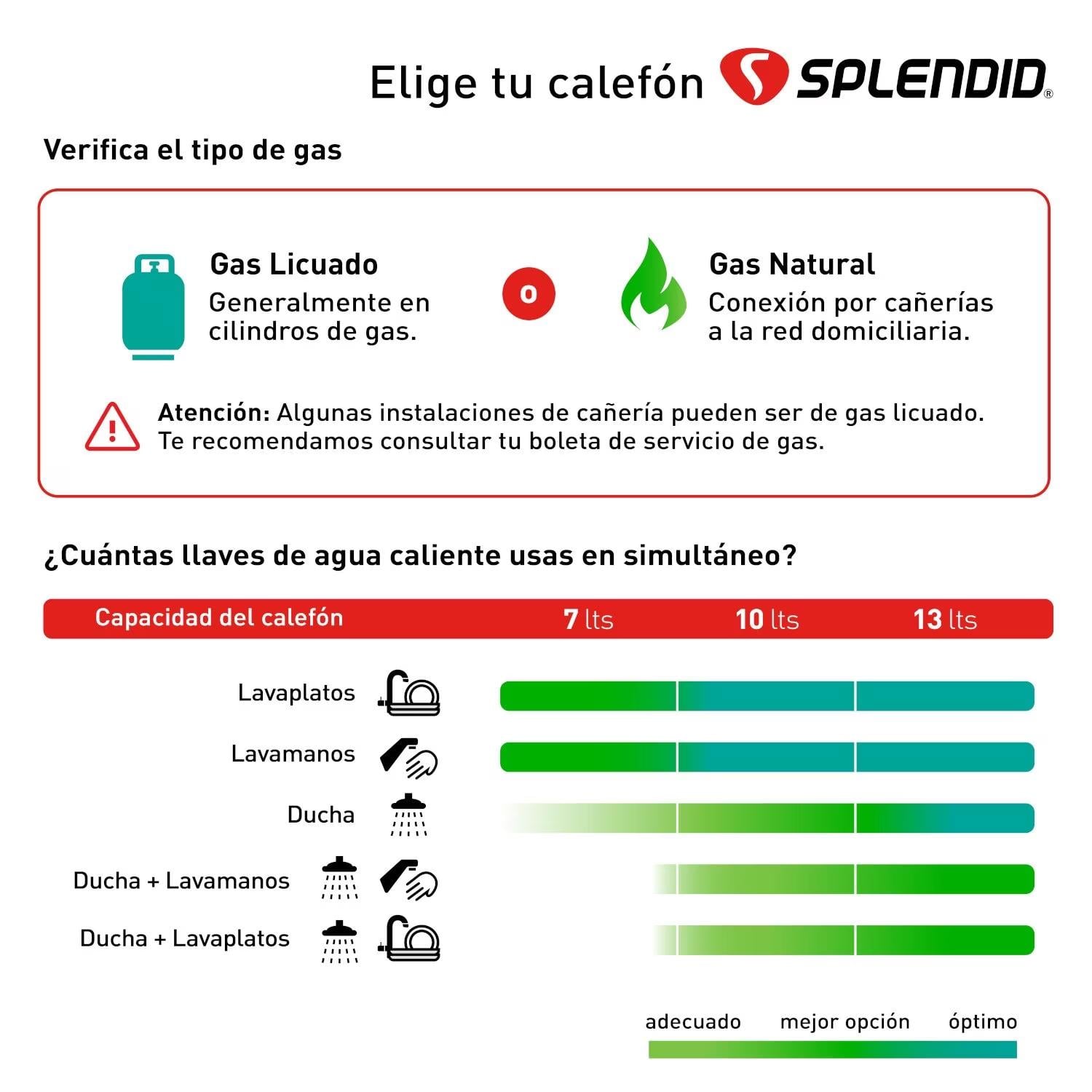 CALEFON SPLENDID IONIZ. MASTER TIRO FORZADO GAS NATURAL 10L - 9