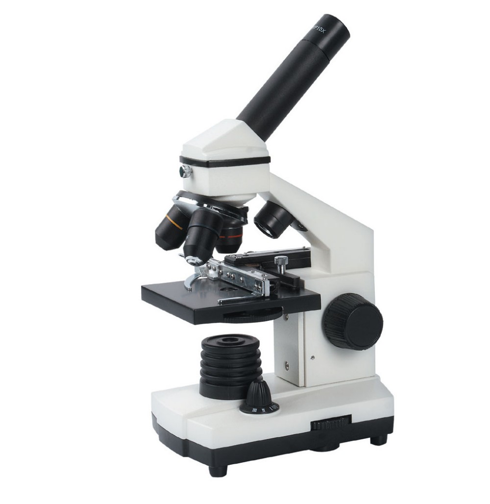 MICROSCOPIO EDUCATIVO BM-42 - 1