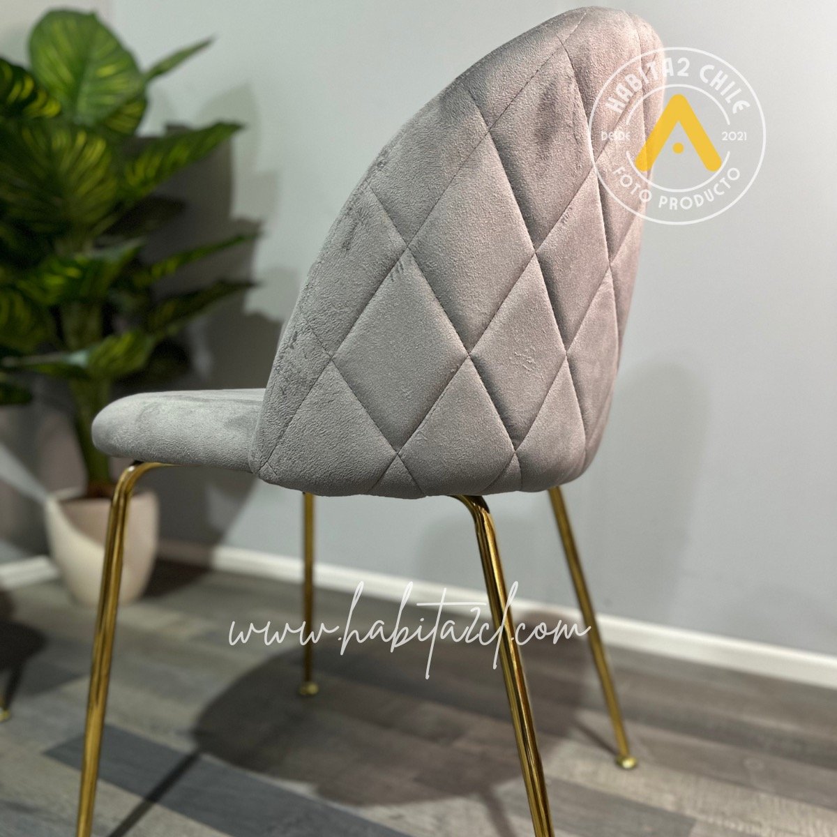 PACK HABITA2 FELPA GRIS 6 SILLA SITIAL TERCIOPELO GOLD - 3