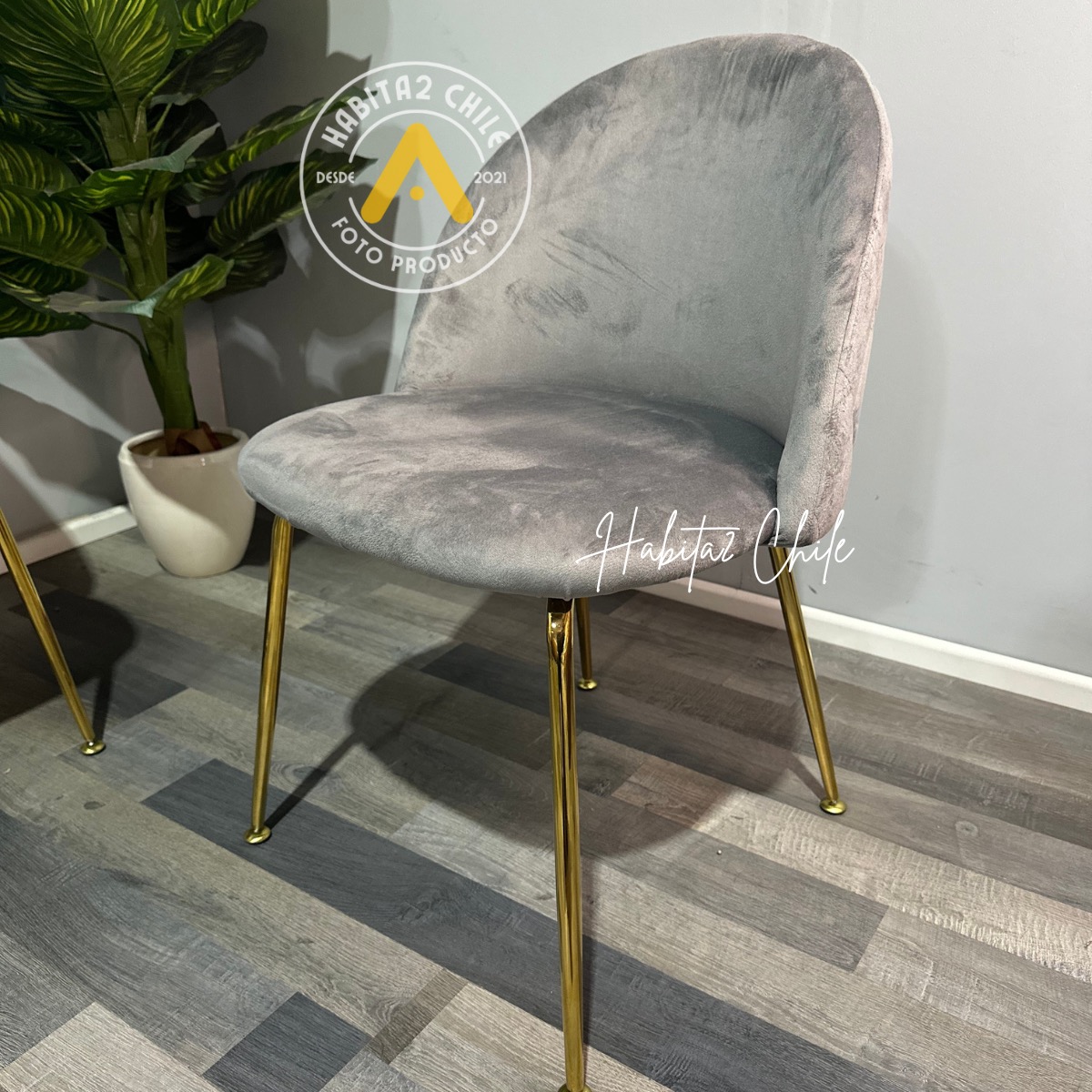 PACK HABITA2 FELPA GRIS 4 SILLA SITIAL TERCIOPELO GOLD - 2