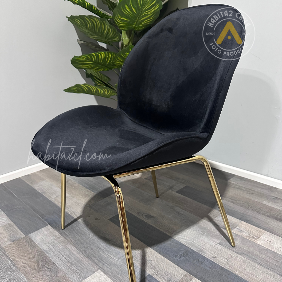 PACK 2 SILLAS PARA COMEDOR BERLIN TERCIOPELO FELPA PATAS DORADAS - NEGRO - 2