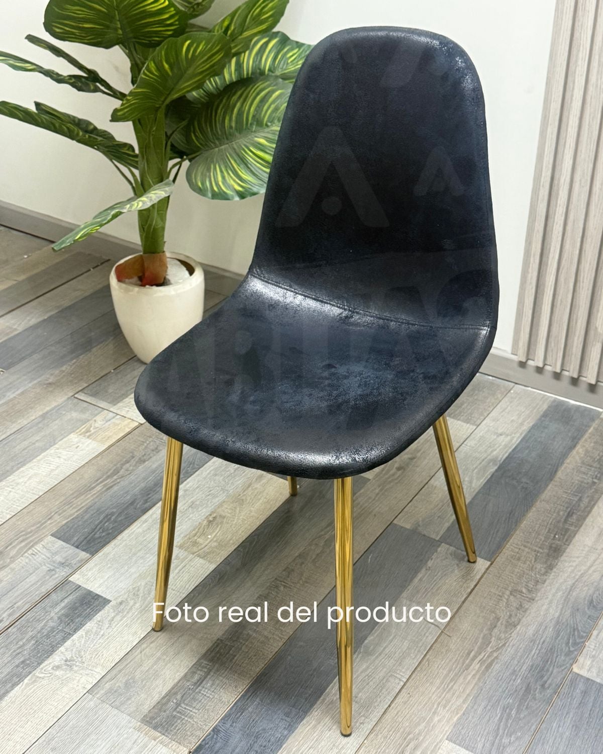 SILLA MURCIA DORADA PARA COMEDOR DE GAMUZA 4 UNIDADES - NEGRO - 3