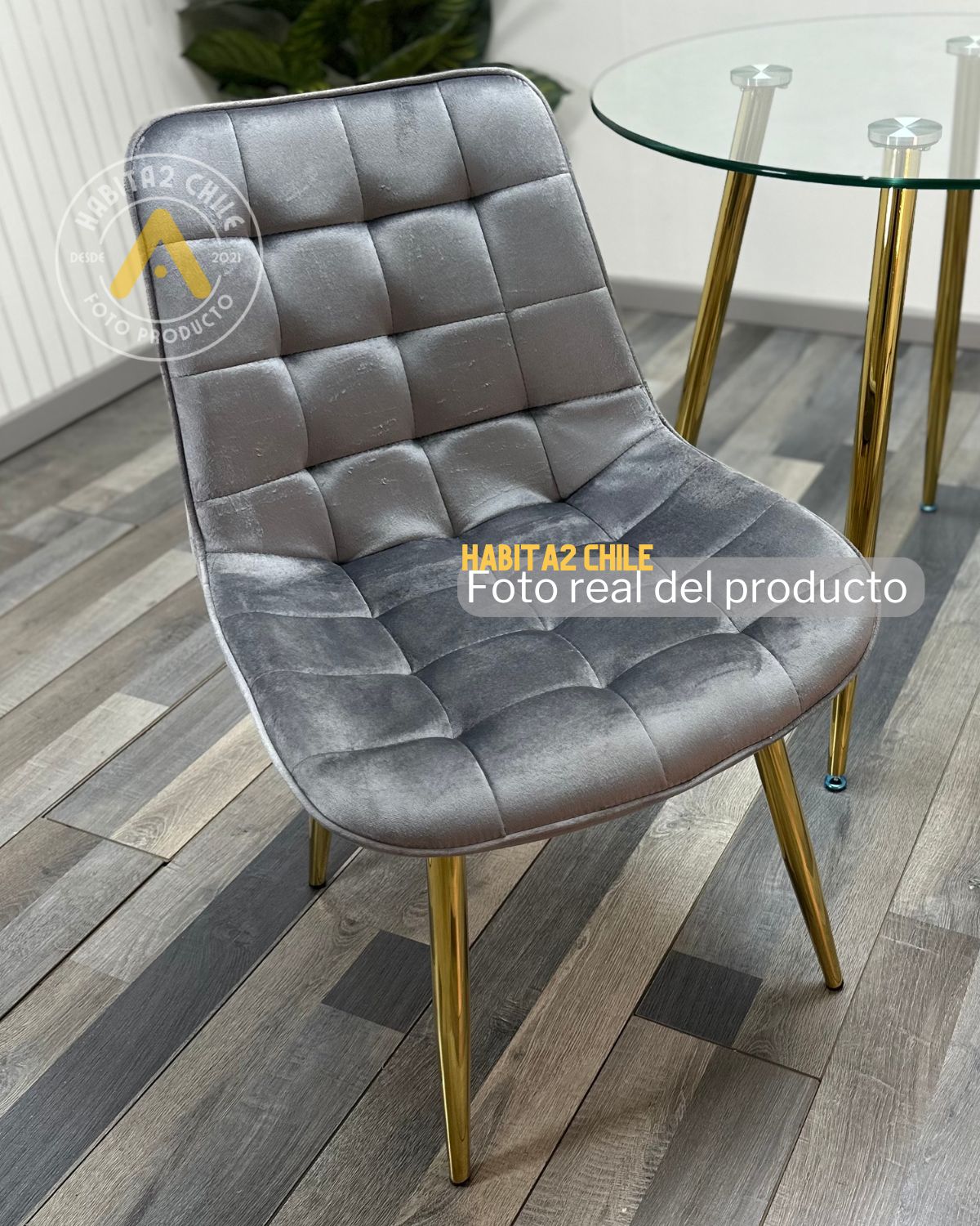 SET DE SILLAS GIRATORIA MANICURISTA ROMA GOLD - GRIS - 4