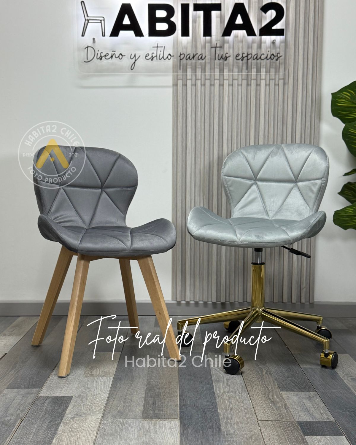 PACK SILLAS ESCRITORIO MARIPOSAS VELVET FELPA GOLD - GRIS - 2