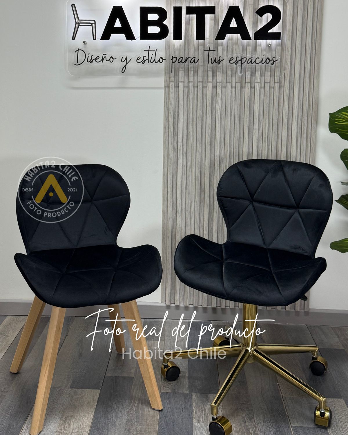 PACK SILLAS ESCRITORIO MARIPOSAS VELVET FELPA GOLD - NEGRO - 2