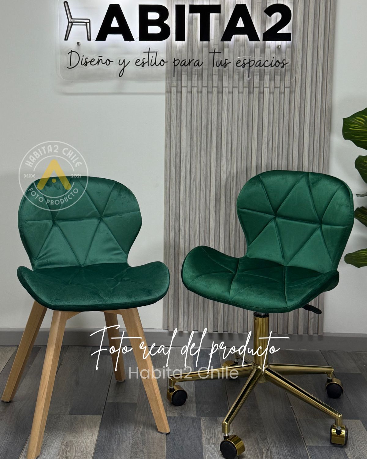 PACK SILLAS ESCRITORIO MARIPOSAS VELVET FELPA GOLD - VERDE - 2