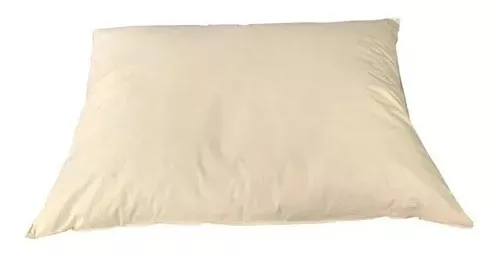 ALMOHADA DE PLUMAS - 1