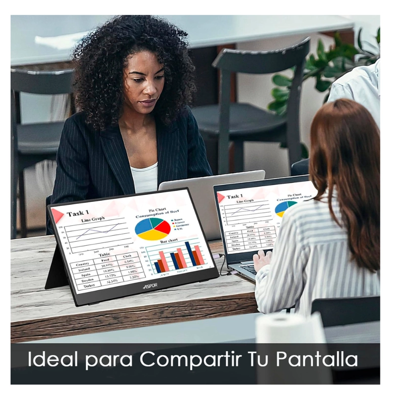 MONITOR PORTATIL 18.5 120HZ FULL HD CON PARLANTE Y CASE - 6