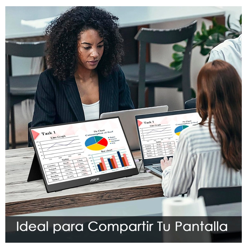 MONITOR PORTATIL  CON PANTALLA DE 15.6 PULGADAS 60HZ FULL HD - 6