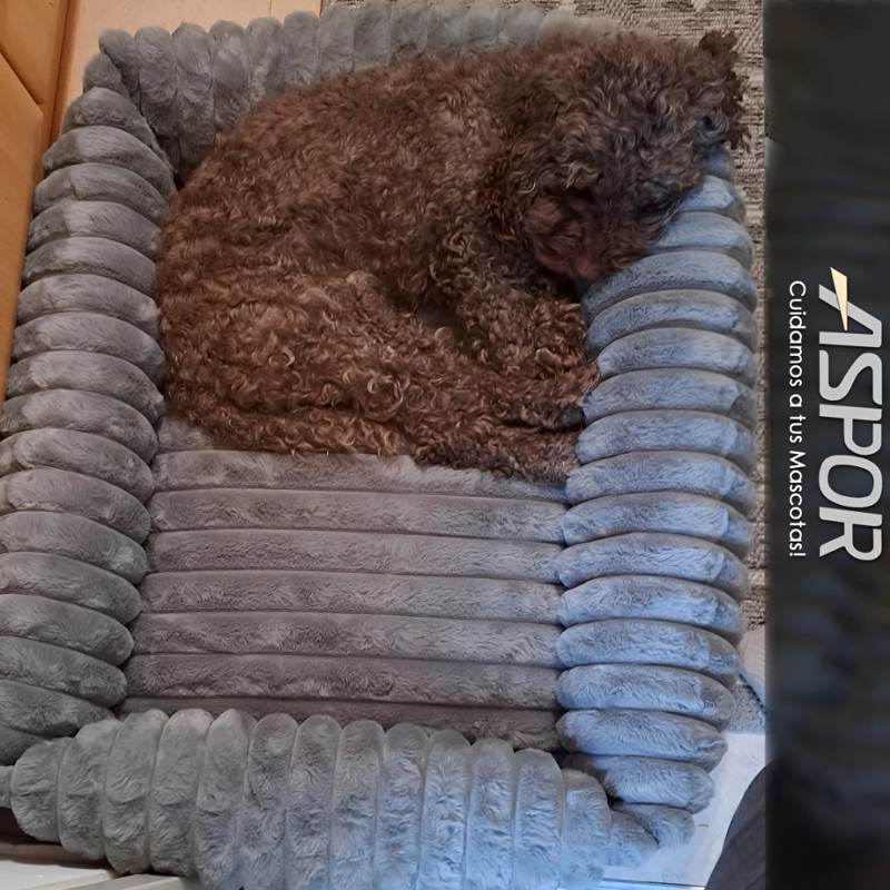 CAMA PERRO LAVABLE ANTIDESLIZANTE Y TELA POLAR TALLA M - 8