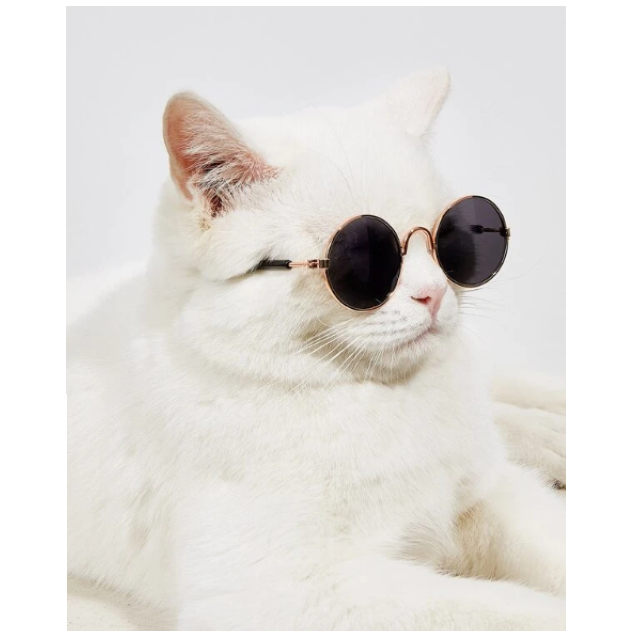GAFAS DE SOL PARA MASCOTAS PEQUEÑAS - 2