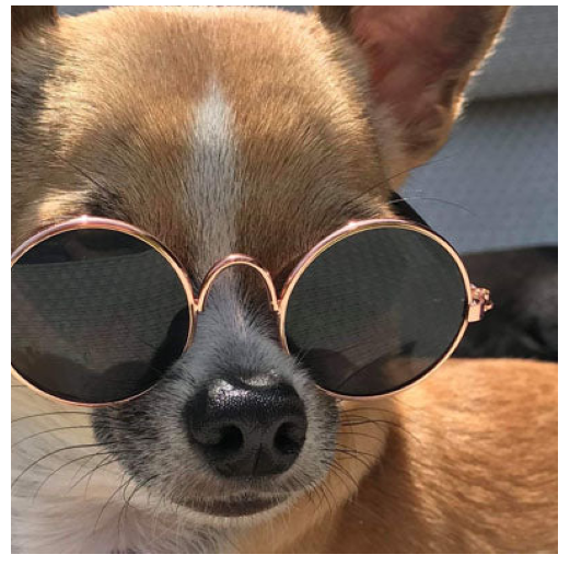GAFAS DE SOL PARA MASCOTAS PEQUEÑAS - 3