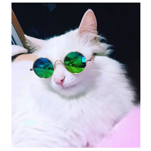 GAFAS DE SOL PARA MASCOTAS PEQUEÑAS - 5