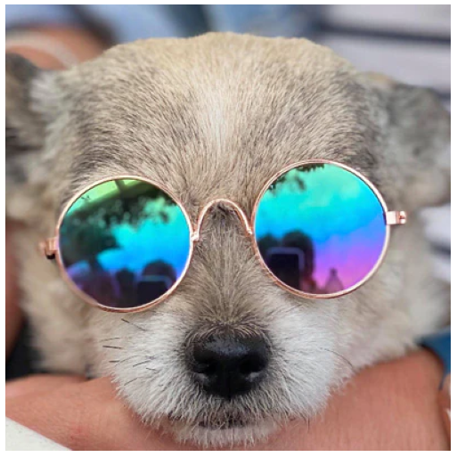 GAFAS DE SOL PARA MASCOTAS PEQUEÑAS - 6