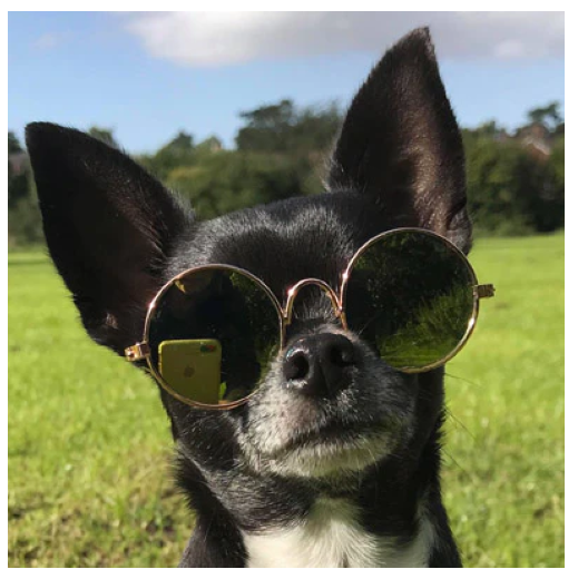 GAFAS DE SOL PARA MASCOTAS PEQUEÑAS - 8