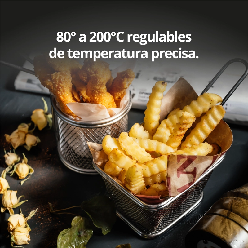 FREIDORA 6L DIGITAL THOR POWER HEAT XL - 9