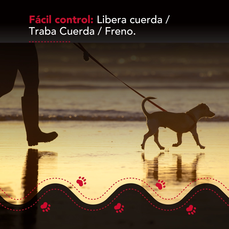 CORREA LUMINOSA THOR LIGHT LEASH M - 5
