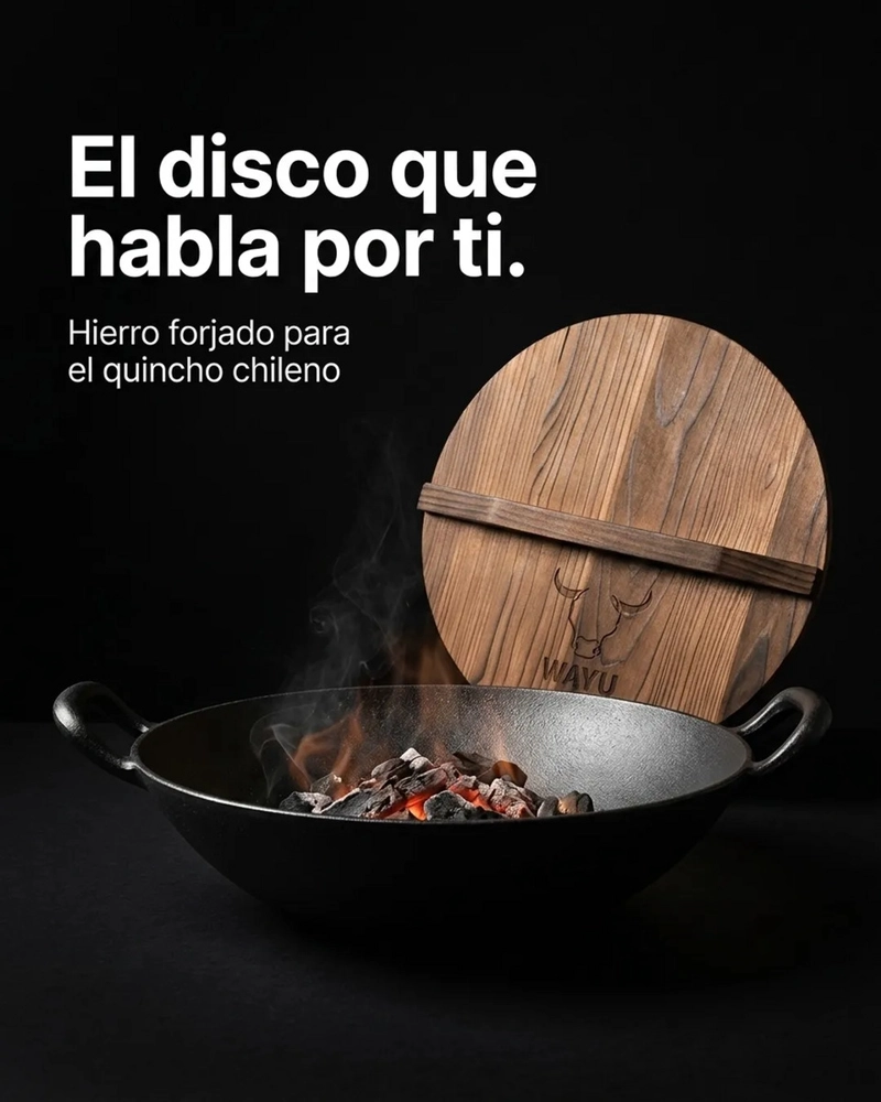 DISCO WAYU ASADO PARRILLA COCINA QUINCHO - 6