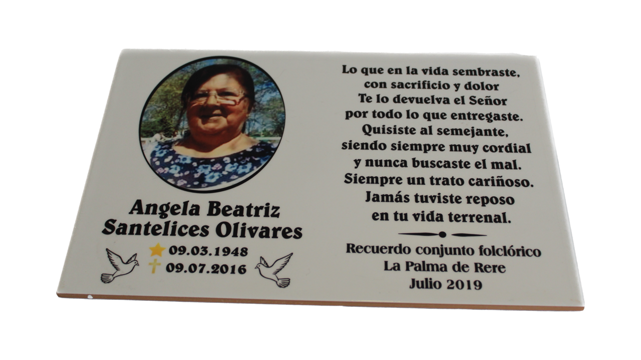 LÂ€¡PIDA PLACA CERÂ€¡MICA 30X20 CM - 1
