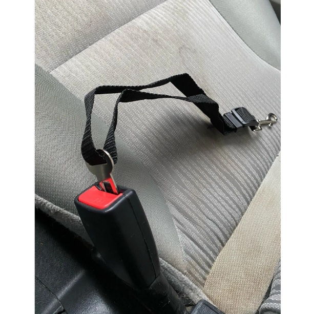 CINTURÓN DE SEGURIDAD DE COCHE PARA PERROS ARNES MASCOTAS CORREA PARA AUTO GATOS Y CANES - 5
