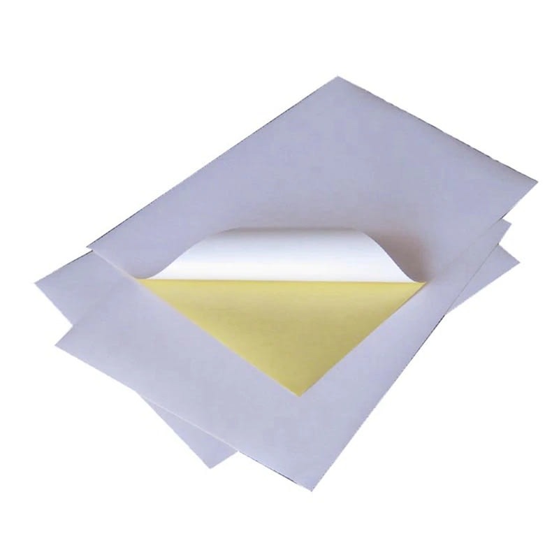 PAPEL FOTOGRÁFICO PACIFIC COLOR AUTOADHESIVO 120G PREMIUM A4 PACK 100 HOJA - 2