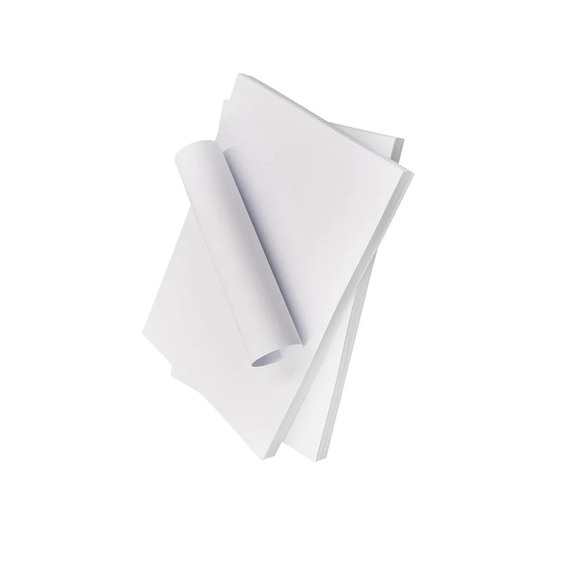 PAPEL FOTOGRÁFICO OEM 4710007712023 PREMIUM GLOSSY 130GR PROFESIONAL 100 HOJAS - 2