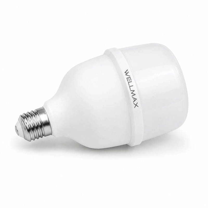 AMPOLLETA LED OEM ECOLITE T115 38 W WELLMAX 38 W HIGH POWER PROFESSIONAL LINE T115 - 2
