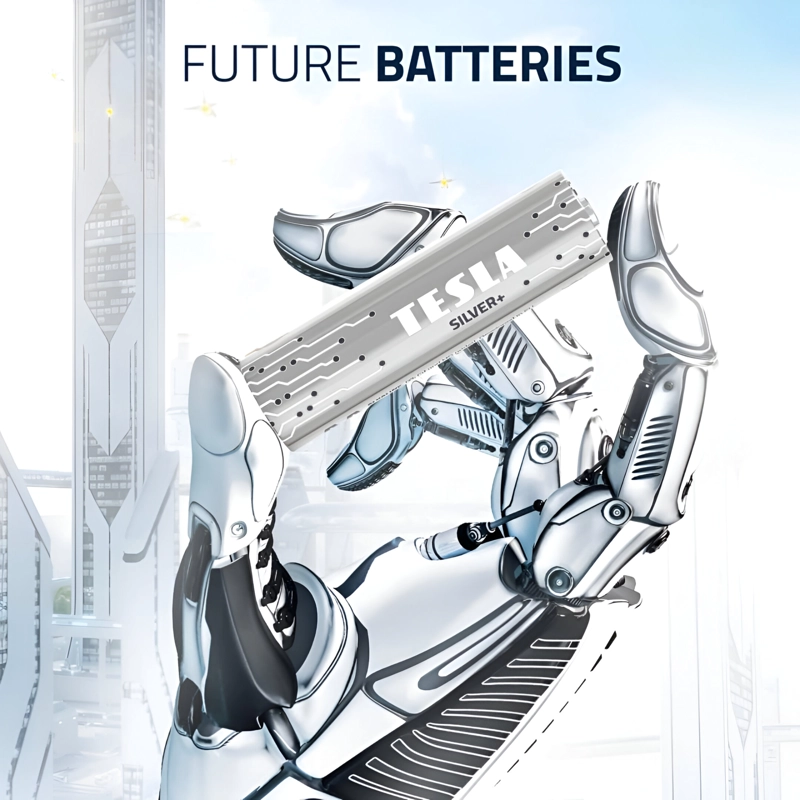 PACK 12 PILAS C TESLA SILVER+ ALKALINE PLUS EXTRA ENERGY - 3