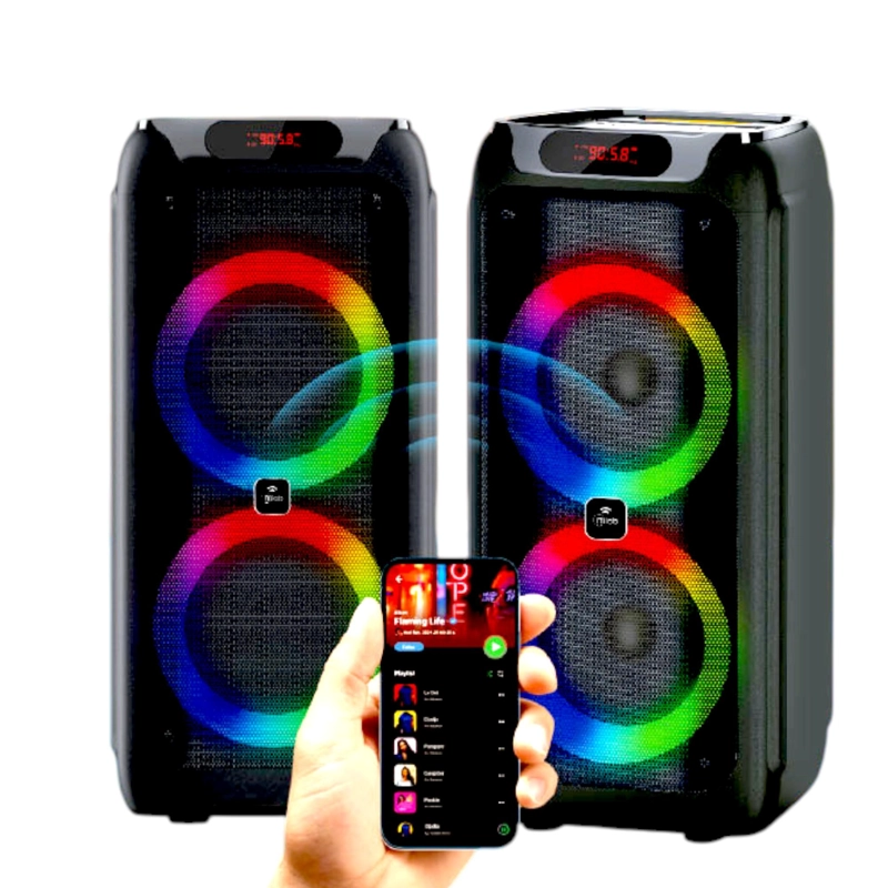 PARLANTE KARAOKE FLAMING BIG BASS DUAL 8' MICWIRELESS 60WRMS - 5