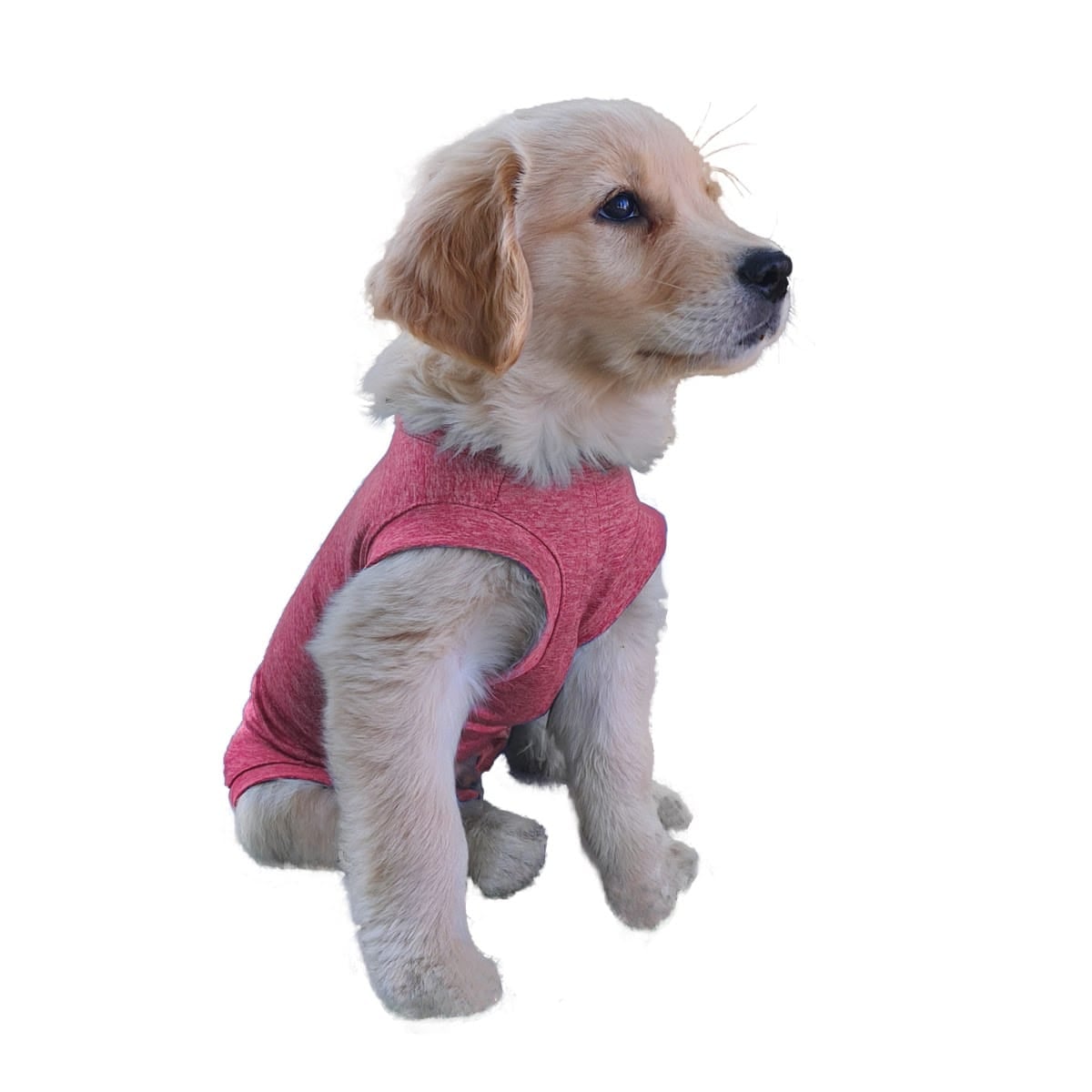 ROPA BODY PERROS COBRE CUNATEX ROJO TALLA 3 4.5 6 KG - 1