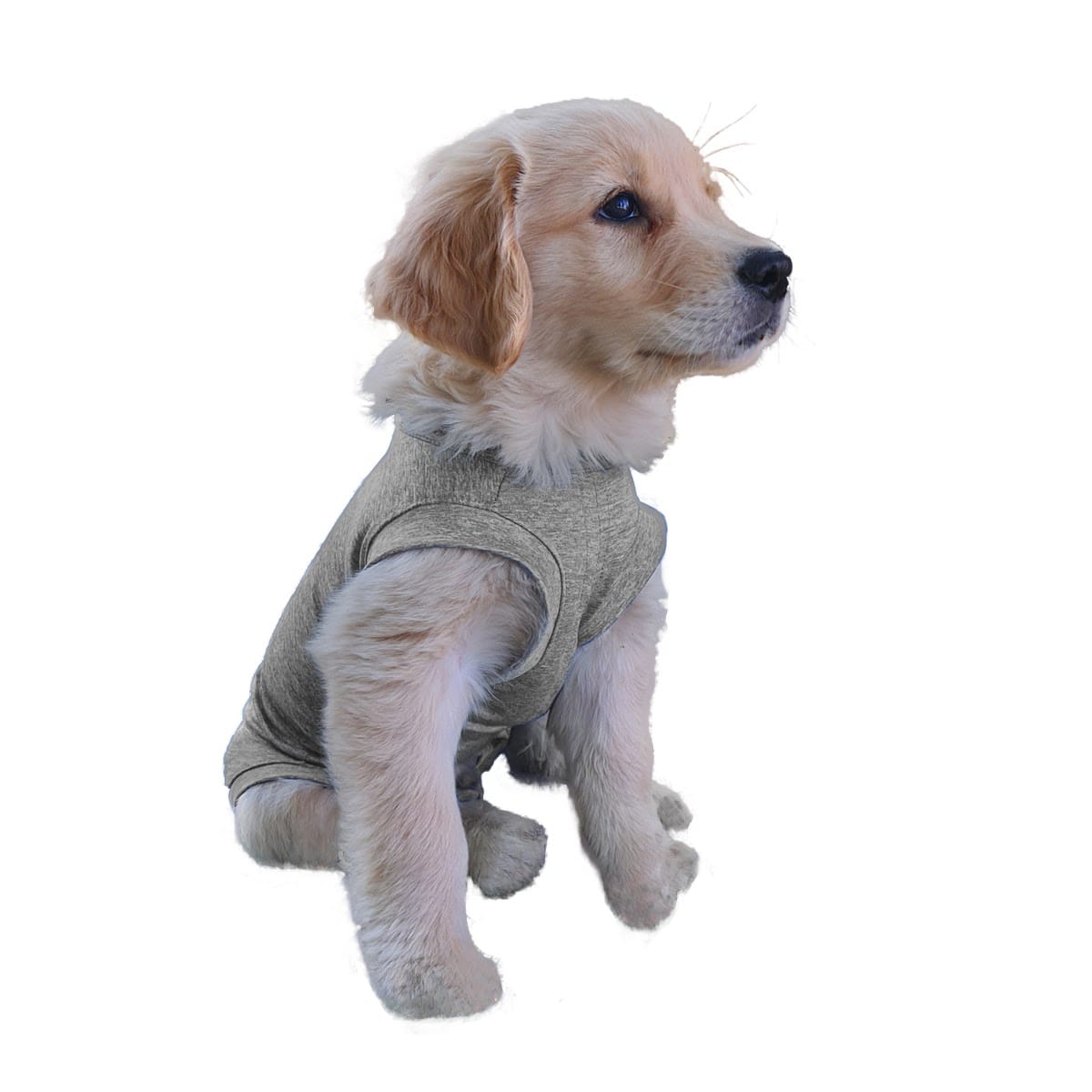 ROPA BODY PERROS COBRE CUNATEX GRIS TALLA 4 6 7.5 KG - 1