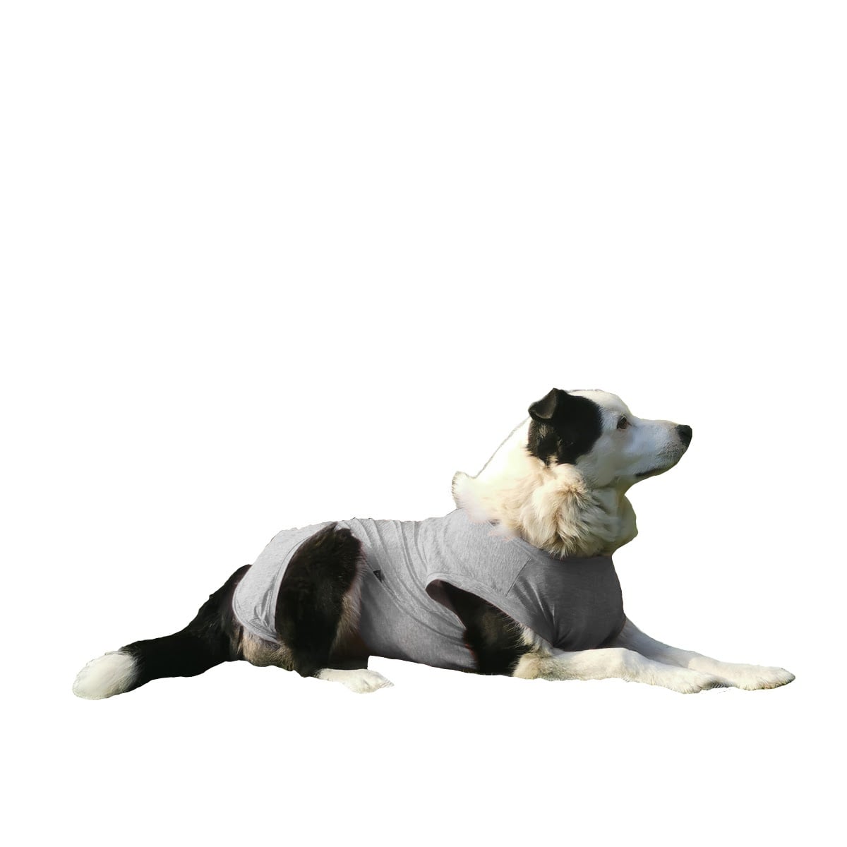 ROPA BODY PERROS COBRE CUNATEX GRIS TALLA 7 13 17 KG - 1