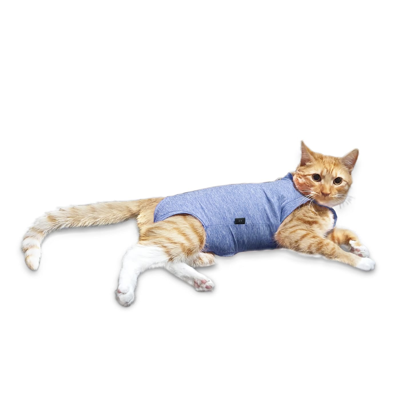ROPA BODY GATOS COBRE CUNATEX ROJO TALLA 0 1.5 2.5 KG - 1