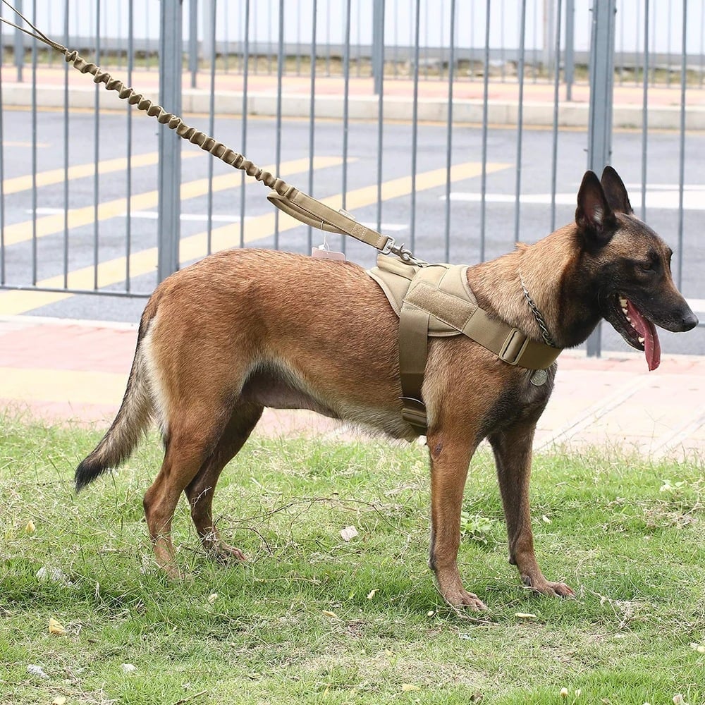 ARNÉS PERROS TACTICO LANZAMIENTO CUERDA TALLA L - 3
