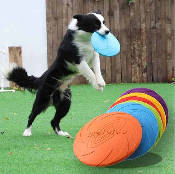 FRISBEE PERROS 18 CM MASCOTAS RESISTENTE - 2
