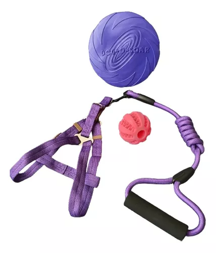SET ARNÉS PERROS PELOTA 7 CM + FRISBEE + 18 CM CUERDA DENTAL MASCOTAS - 1