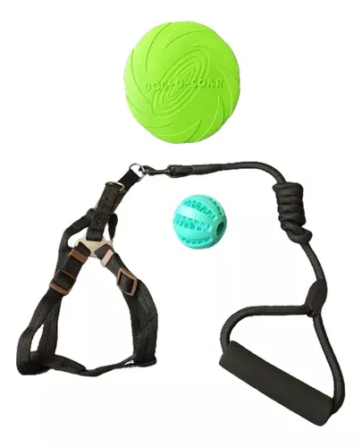 SET ARNÉS PERROS PELOTA 7 CM + FRISBEE + 18 CM CUERDA DENTAL MASCOTAS - 2