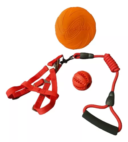 SET ARNÉS PERROS PELOTA 7 CM + FRISBEE + 18 CM CUERDA DENTAL MASCOTAS - 3