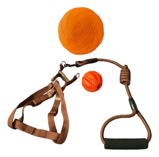 SET ARNÉS PERROS PELOTA 7 CM + FRISBEE + 18 CM CUERDA DENTAL MASCOTAS - 5
