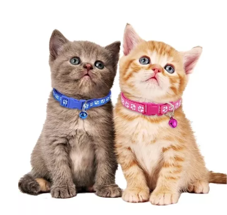 PACK 3 COLLARES PERROS GATOS MINNIE CASCABEL MASCOTAS - 2