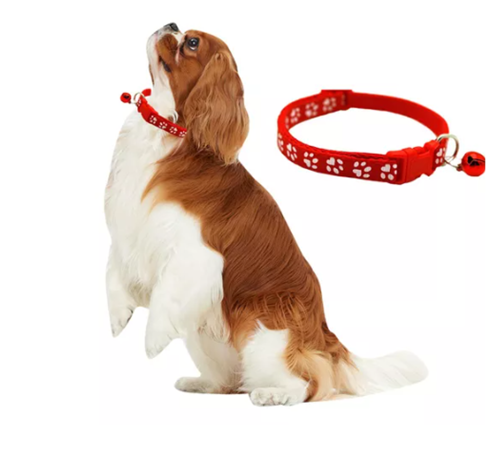 PACK 3 COLLARES PERROS GATOS MINNIE CASCABEL MASCOTAS - 6