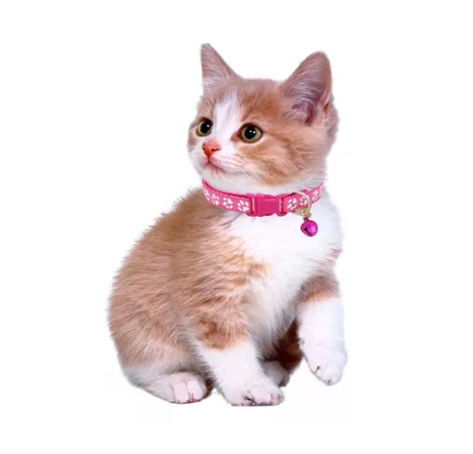 PACK 3 COLLARES PERROS GATOS MINNIE CASCABEL MASCOTAS - 7